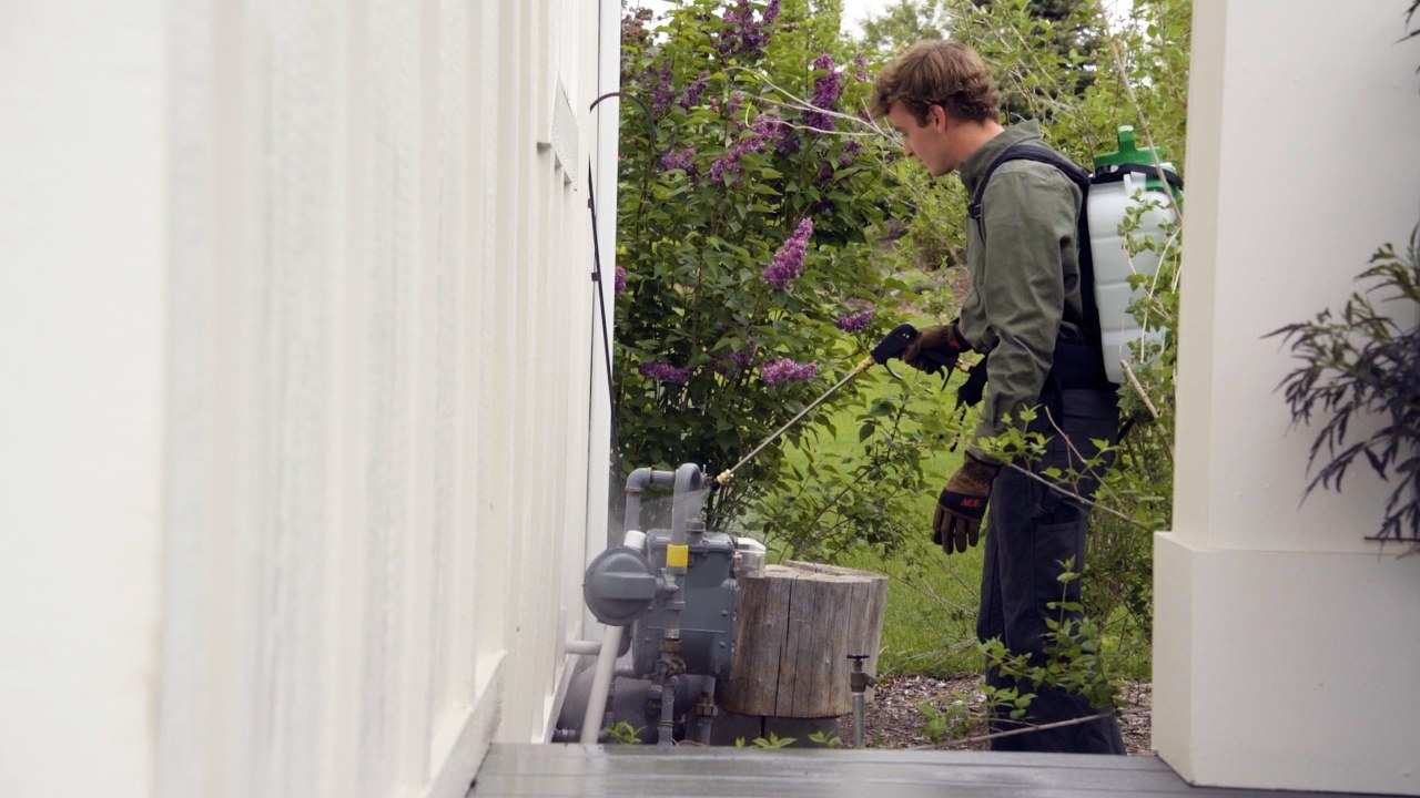 Pest control technician treating a home exterior — Utah Valley pest control